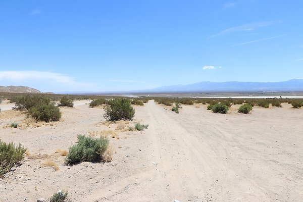 ElMirage Picnic 1 - 24 of 33