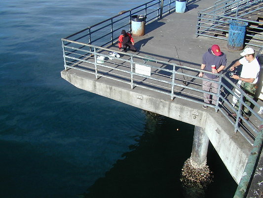 DSCN0909