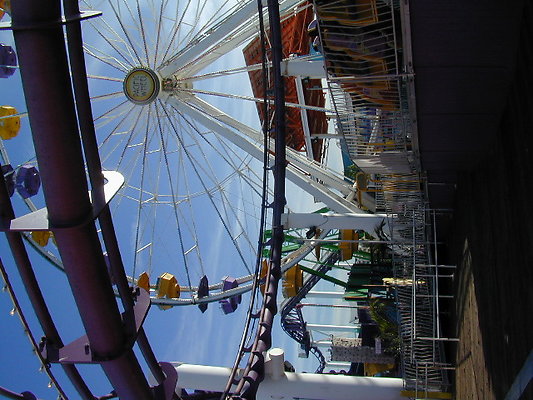 DSCN0916