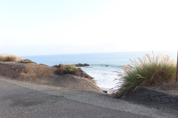 PCH BassRock turnout 515p - 100 of 103 PCH BassRock turnout 515p - 100 of 103