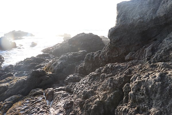 PCH BassRock turnout 515p - 60 of 103