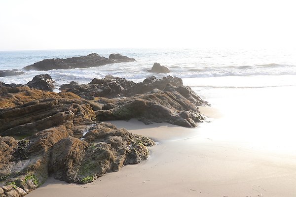 PCH BassRock turnout 515p - 25 of 103