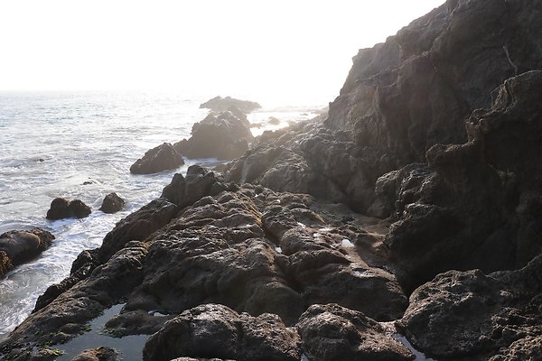 PCH BassRock turnout 515p - 43 of 103