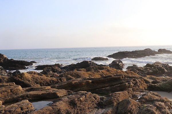 PCH BassRock turnout 515p - 24 of 103