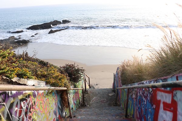PCH BassRock turnout 515p - 6 of 103