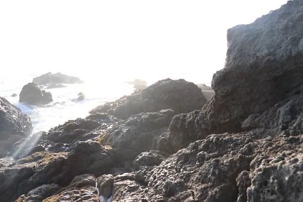 PCH BassRock turnout 515p - 59 of 103