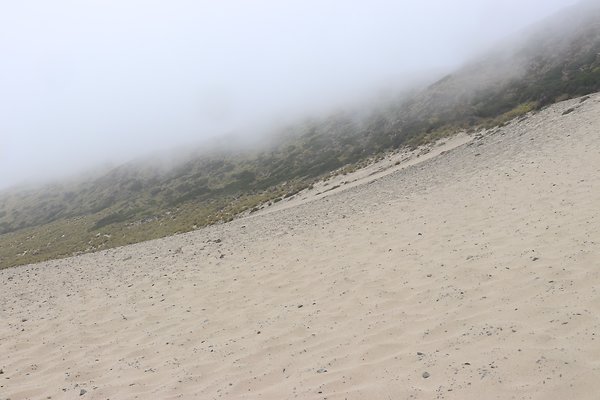 SandyDune South - 40 of 57