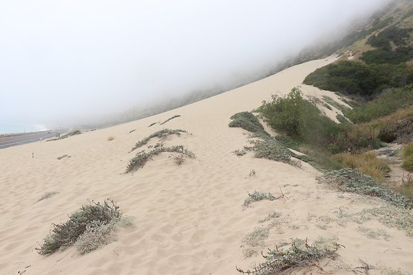 SandyDune South - 13 of 57