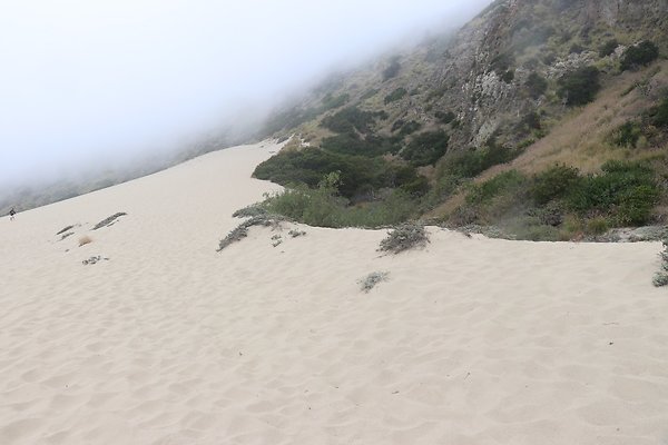 SandyDune South - 9 of 57
