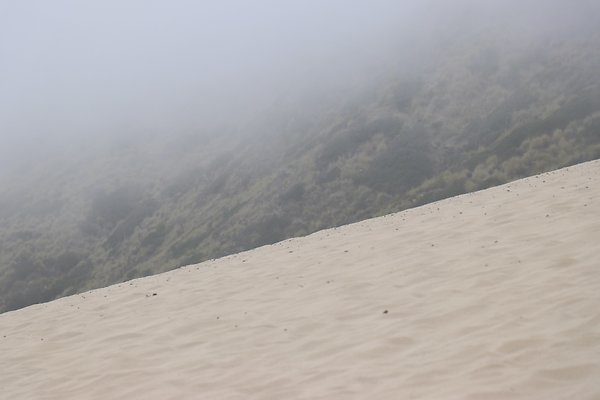 SandyDune South - 24 of 57