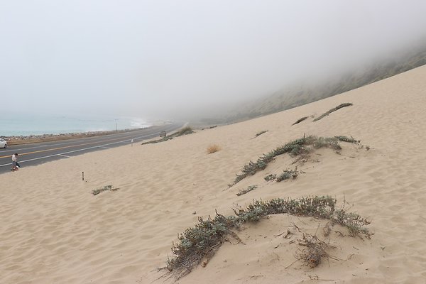SandyDune South - 14 of 57
