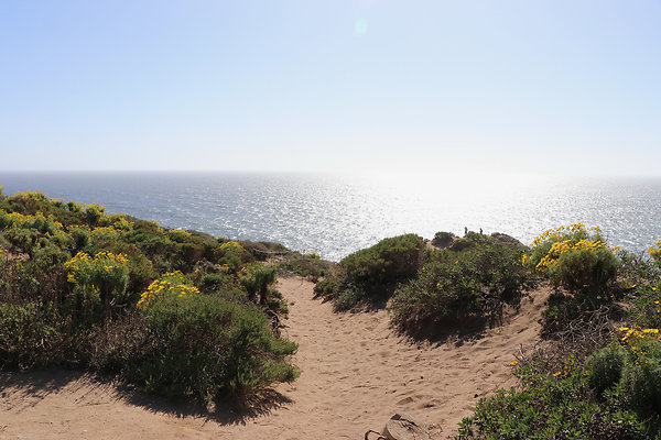 PointDume SP S 2 - 2 of 51