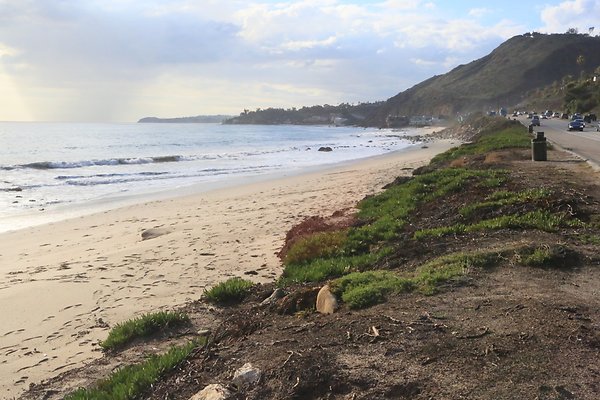 PCH MalibuSeafood 2 - 17