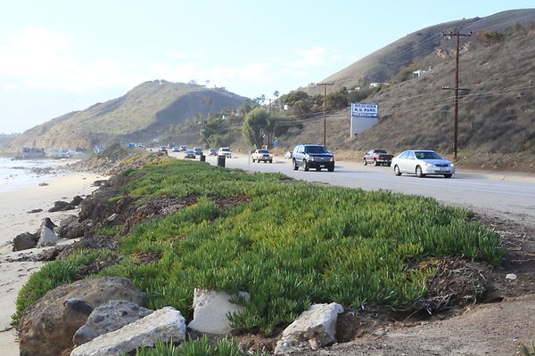 PCH MalibuSeafood 2 - 29
