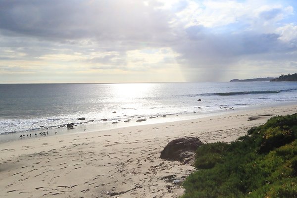 PCH MalibuSeafood 2 - 09