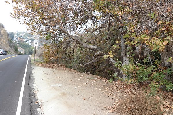 PCH RamblaVista - 53 of 59
