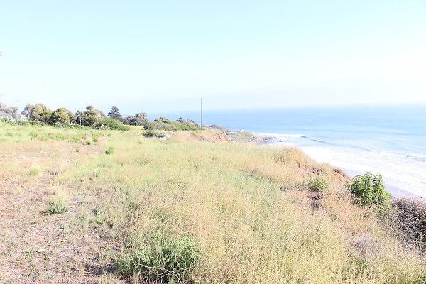 PCH Turnout NicholasCyn - 11 of 43