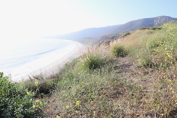 PCH Turnout NicholasCyn - 24 of 43