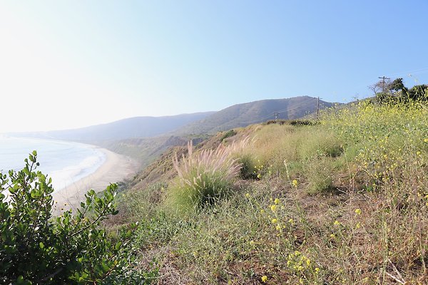 PCH Turnout NicholasCyn - 23 of 43