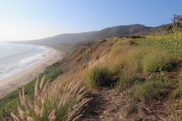 PCH Turnout NicholasCyn - 27 of 43
