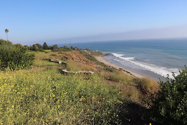 PCH Turnout NicholasCyn - 29 of 43
