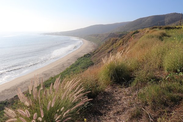 PCH Turnout NicholasCyn - 28 of 43