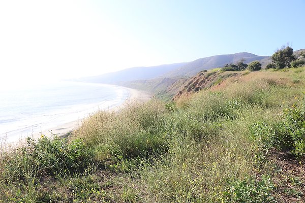 PCH Turnout NicholasCyn - 39 of 43