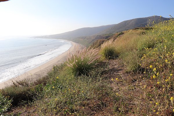 PCH Turnout NicholasCyn - 25 of 43
