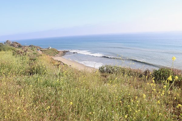 PCH Turnout NicholasCyn - 38 of 43