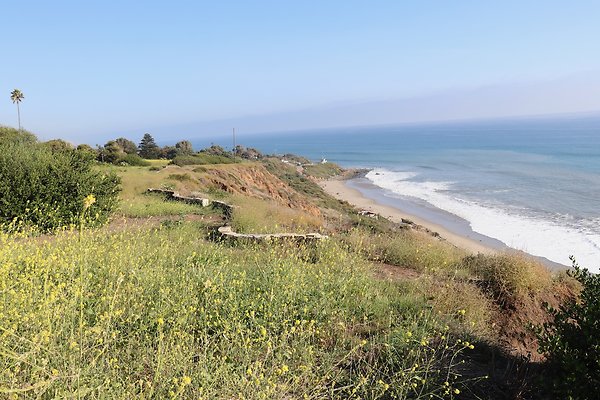 PCH Turnout NicholasCyn - 30 of 43