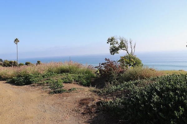PCH Turnout NicholasCyn