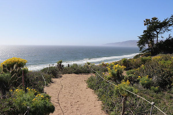 PointDume SP N - 9 of 81