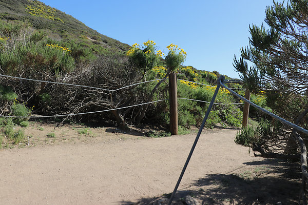 PointDume SP N - 30 of 81