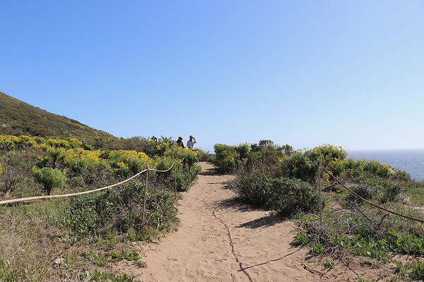 PointDume SP N - 6 of 81