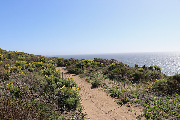 PointDume SP N