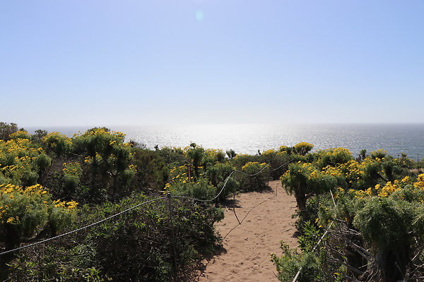 PointDume SP N - 21 of 81