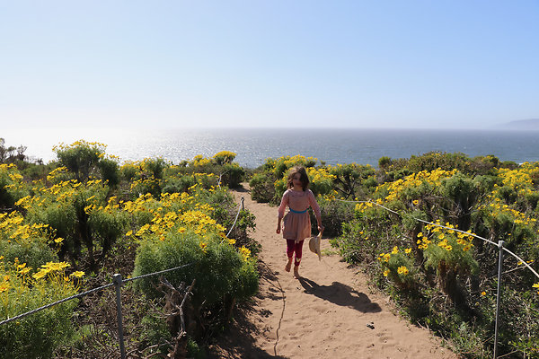 PointDume SP N - 18 of 81