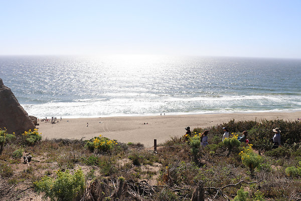 PointDume SP N - 15 of 81