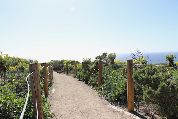 PointDume SP N - 44 of 81