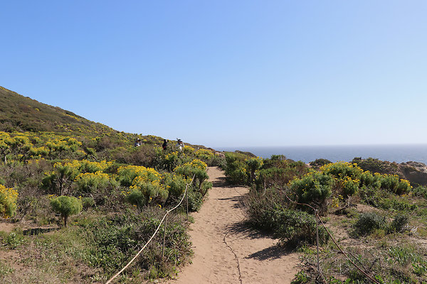 PointDume SP N - 5 of 81