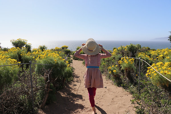 PointDume SP N - 19 of 81