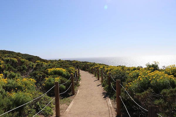 PointDume SP N - 35 of 81