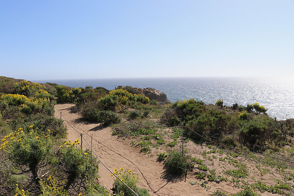 PointDume SP N - 4 of 81