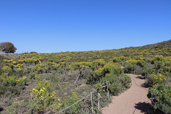 PointDume SP N - 17 of 81