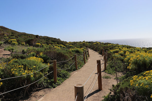 PointDume SP N - 38 of 81