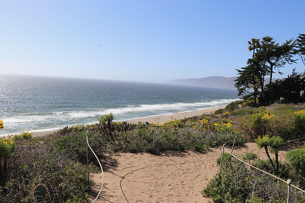 PointDume SP N - 13 of 81