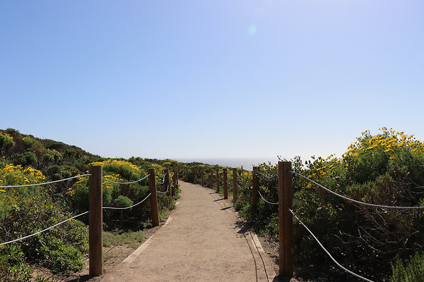 PointDume SP N - 36 of 81
