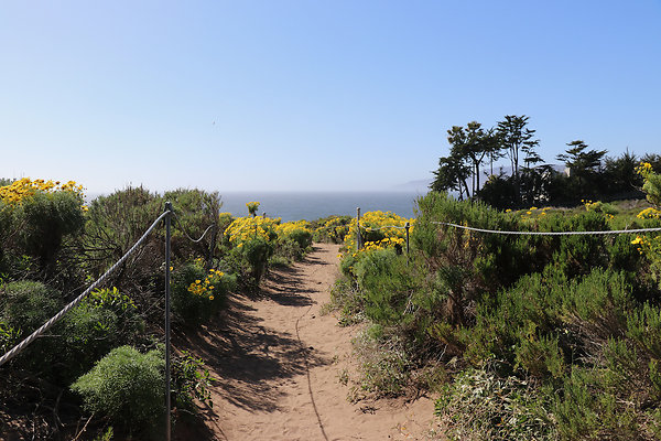 PointDume SP N - 28 of 81