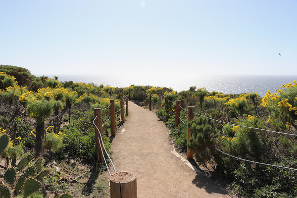 PointDume SP N - 43 of 81