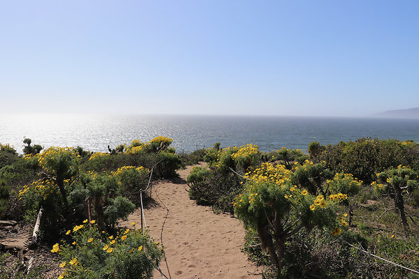 PointDume SP N - 22 of 81